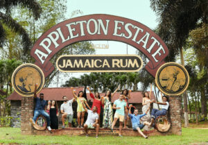 YS Falls & Appleton Estate Rum Factory Tour from Hotels in Montego Bay/ Rose Hall