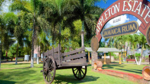 YS Falls & Appleton Estate Rum Factory Tour from Hotels in Falmouth