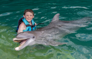 Dunn’s River Falls & Dolphin Cove Tour Ocho Rios from Hotels in Montego Bay/ Rose Hall