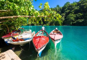 Portland Highlights Tour from Hotels in Montego Bay/ Rose Hall