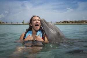 Dolphin Cove Tour Ocho Rios from Hotels in Montego Bay/ Rose Hall